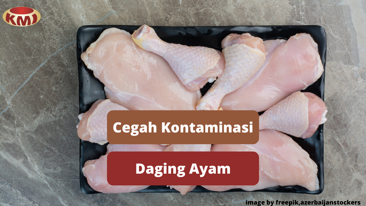 Kenali Cara Mencegah Kontaminasi Daging Ayam